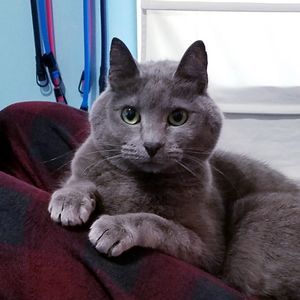 Meet your Posher, Kate